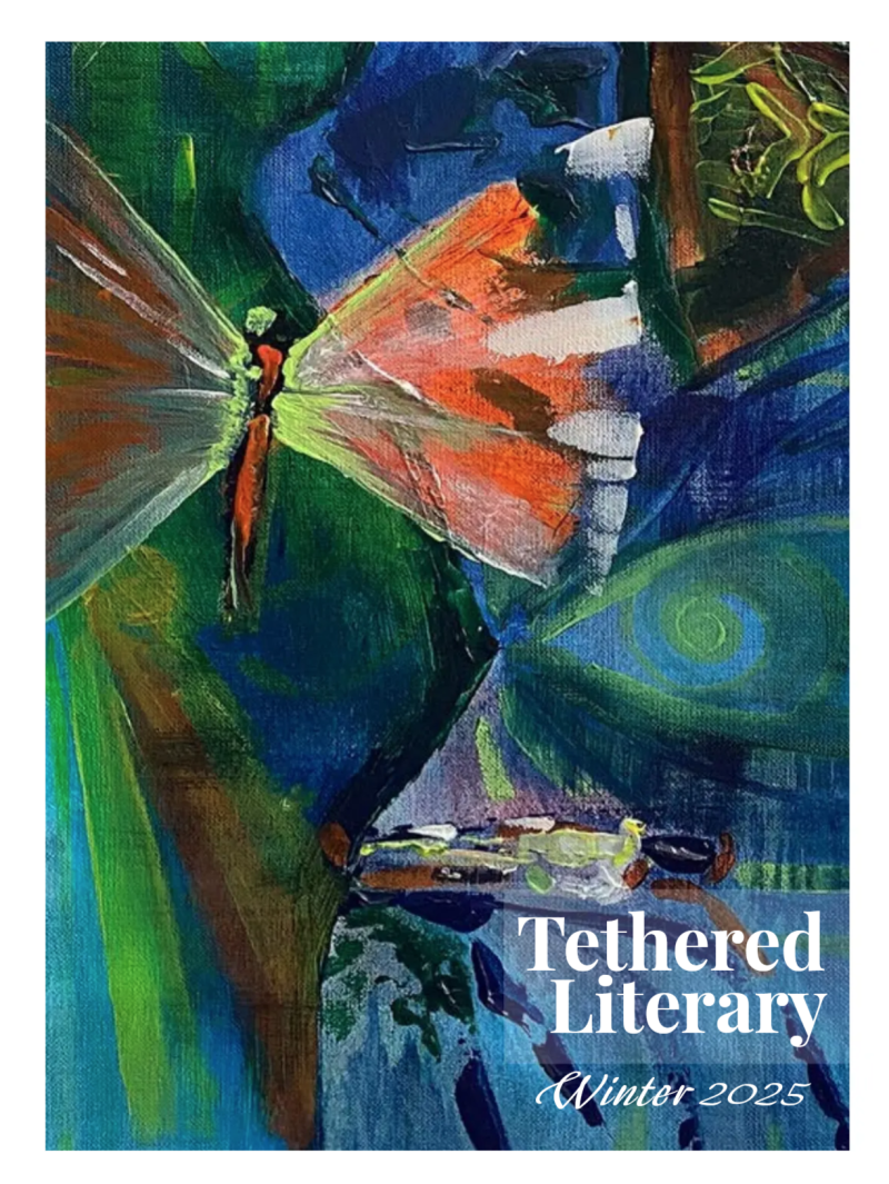 Cover of the 2025 Winter edition of Tethered Literary featuring an abstract oil painting that suggests a dragonfly.