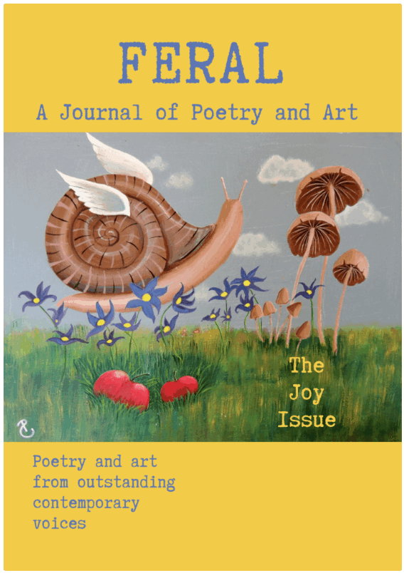 Cover of FERAL featuring a whimsical full color illustration of a snail with wings and mushrooms.